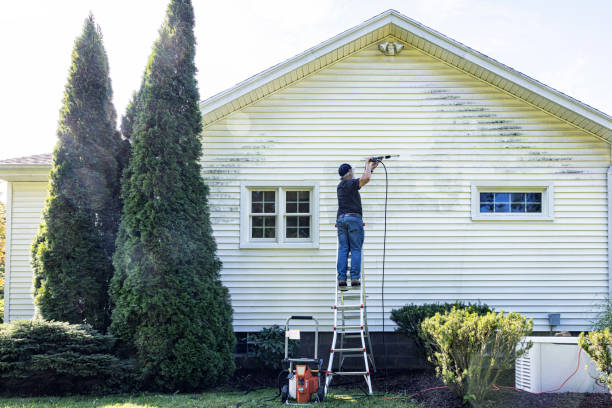 Best Gutter Cleaning and Brightening in Beloit, WI