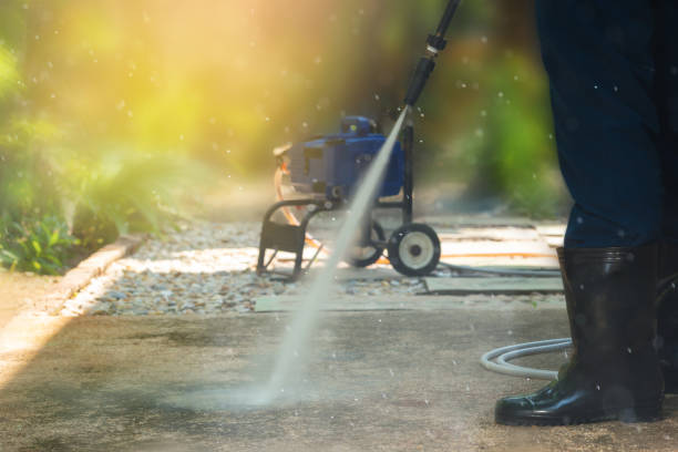 Best Roof Cleaning and Mildew Removal in Beloit, WI